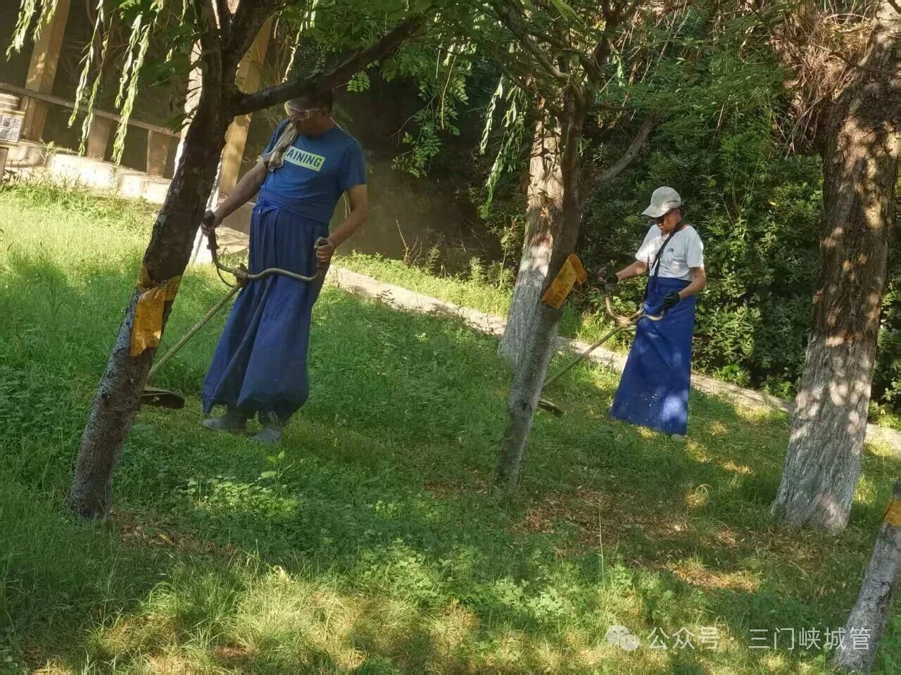微信图片_2026-07-17_081317_726.jpg