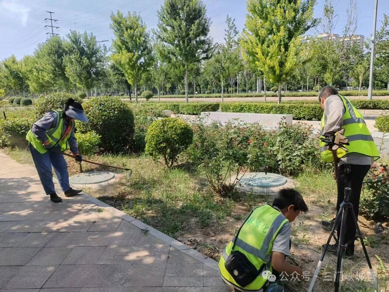 微信图片_2026-07-17_081326_111.jpg