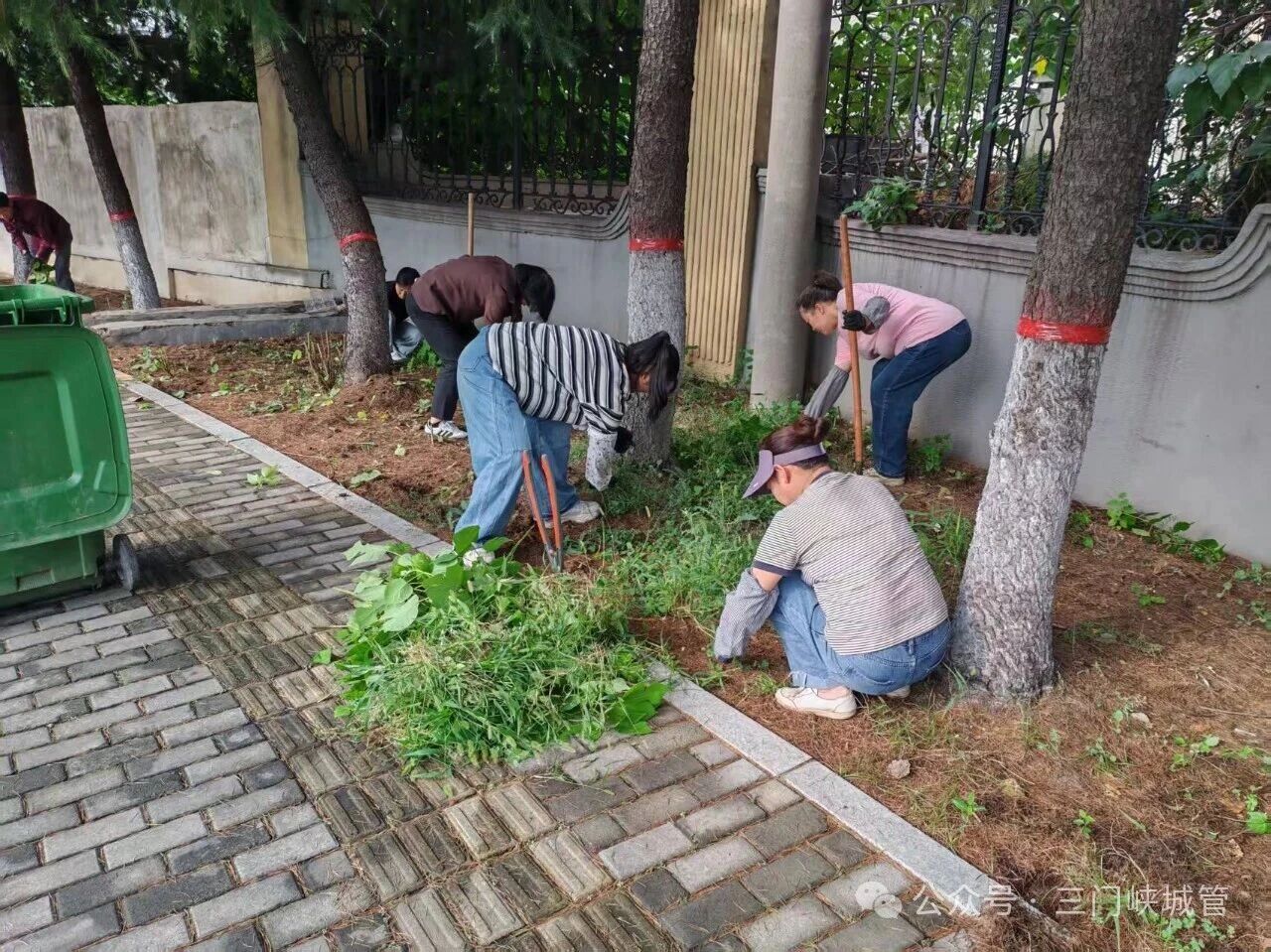 微信图片_2026-09-17_082742_409.jpg