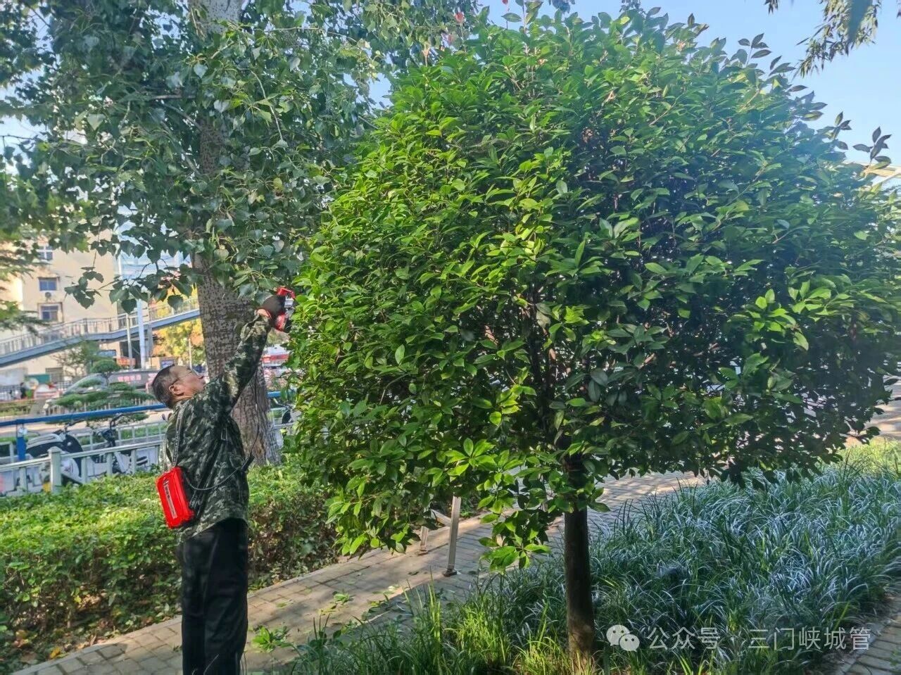 微信图片_2026-09-17_082750_953.jpg