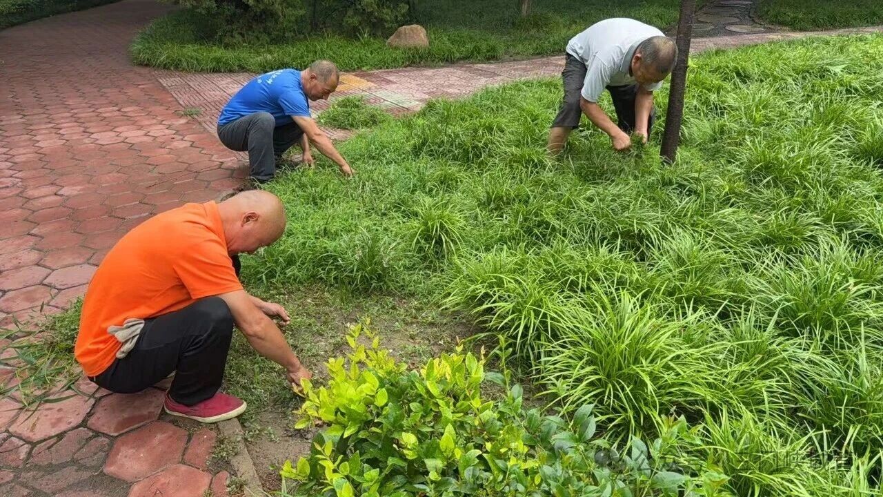 微信图片_2026-08-03_082628_359.jpg 微信图片_2026-08-03_082628_359.jpg