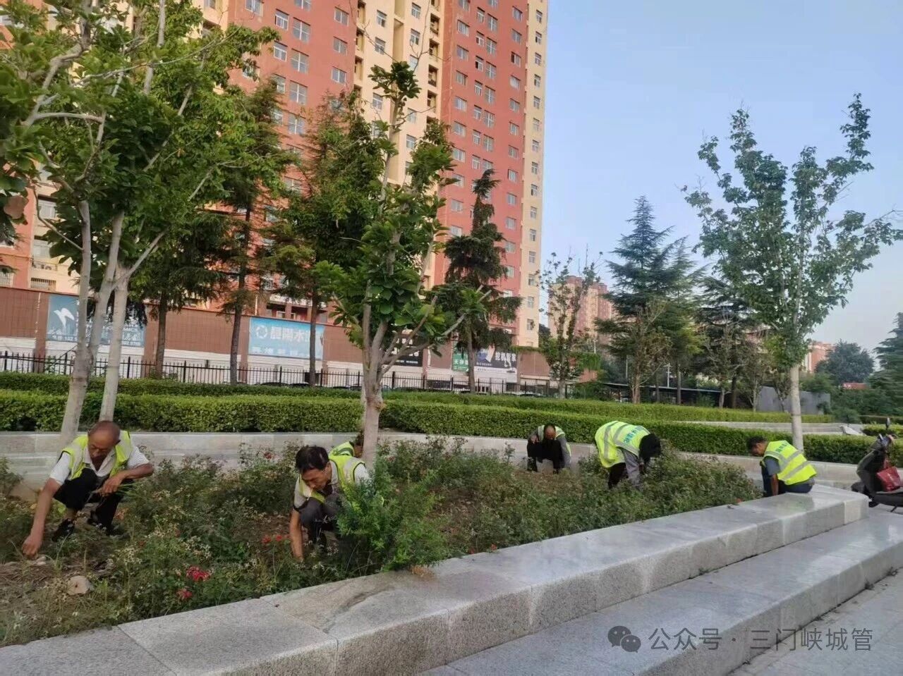 微信图片_2026-08-03_082640_582.jpg 微信图片_2026-08-03_082640_582.jpg