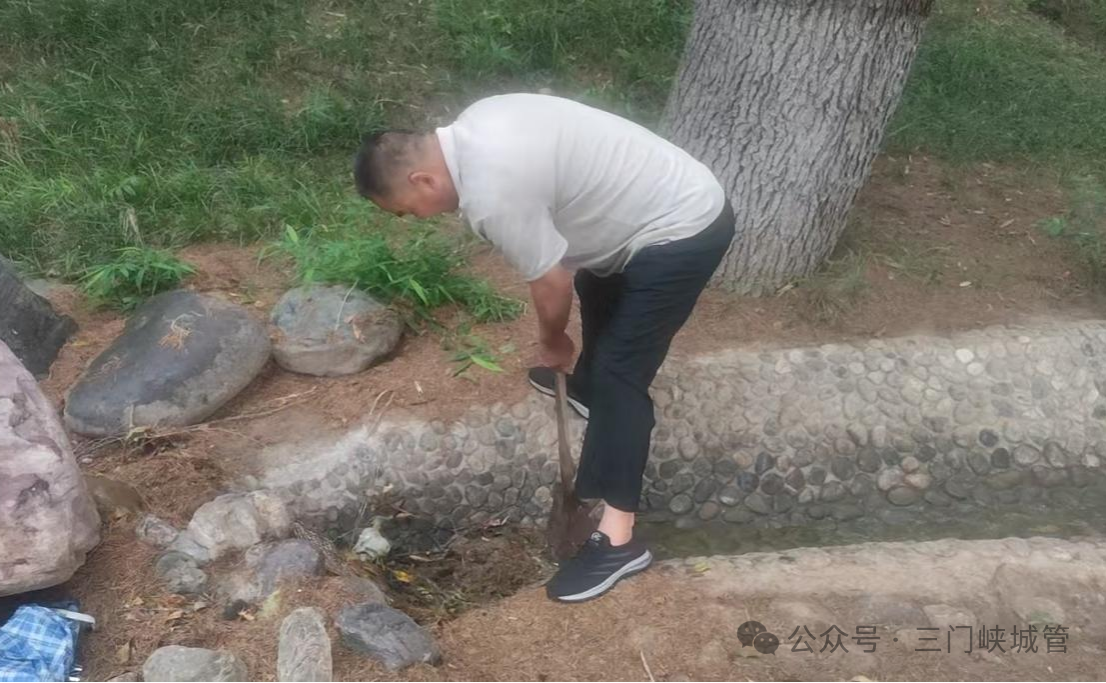 微信图片_2026-08-03_083345_607.png
