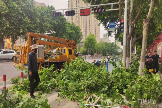 微信图片_2026-08-03_083627_279.png