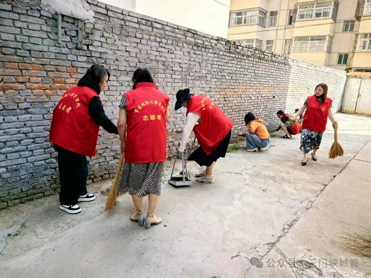 微信图片_2026-08-03_084615_438.jpg