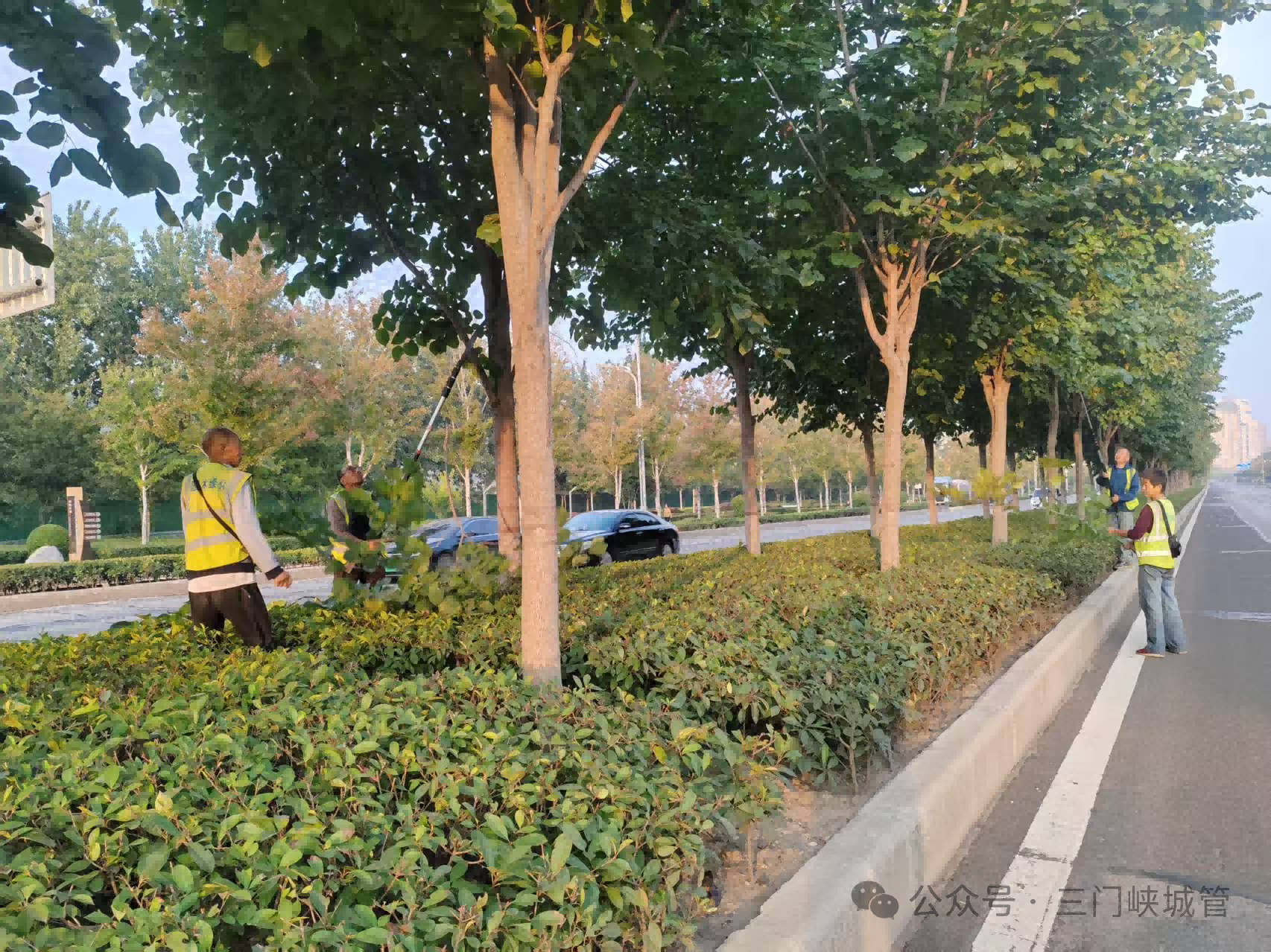 微信图片_2026-09-21_084141_391(1).png