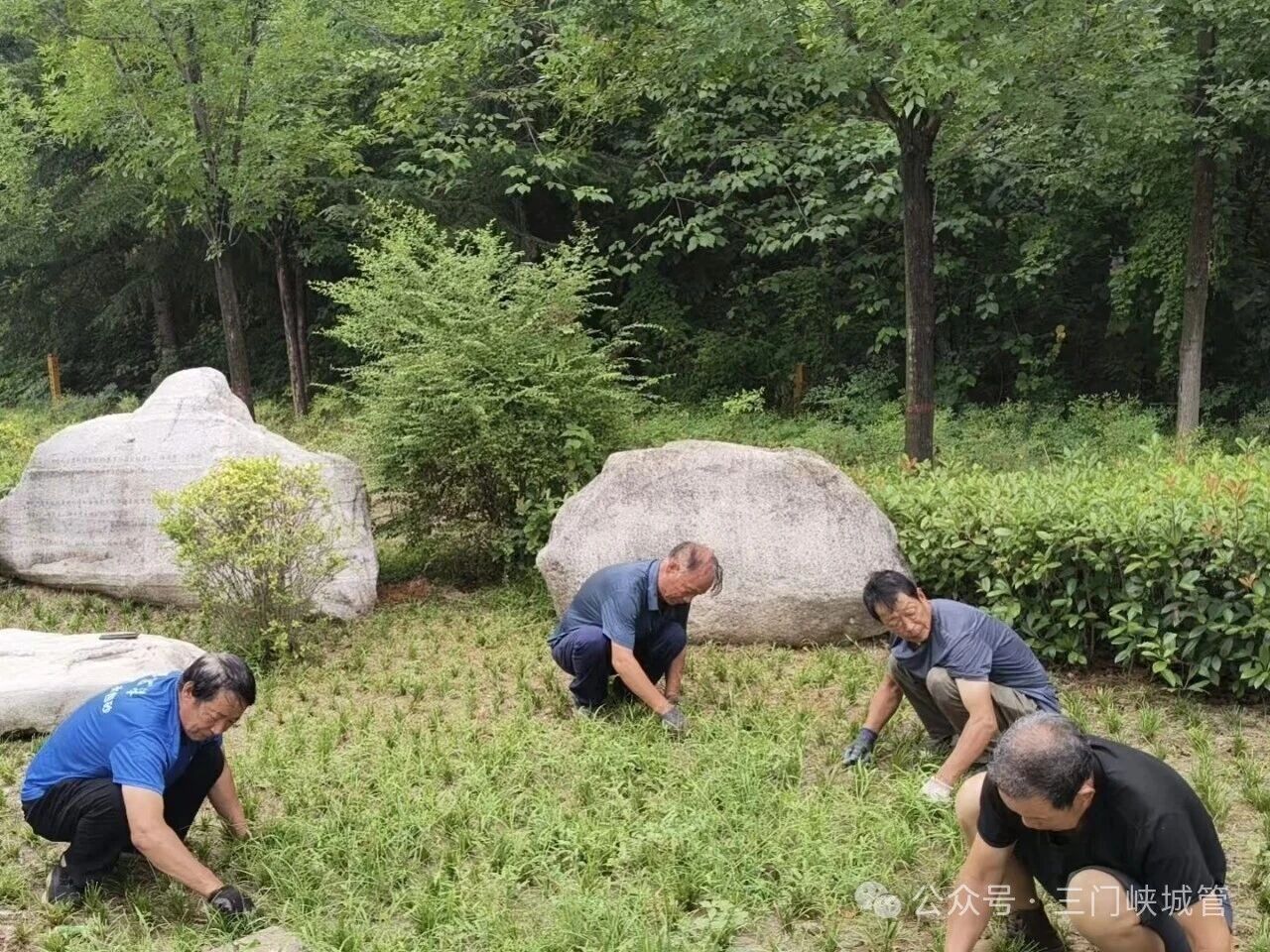 微信图片_2026-08-07_083536_194.jpg
