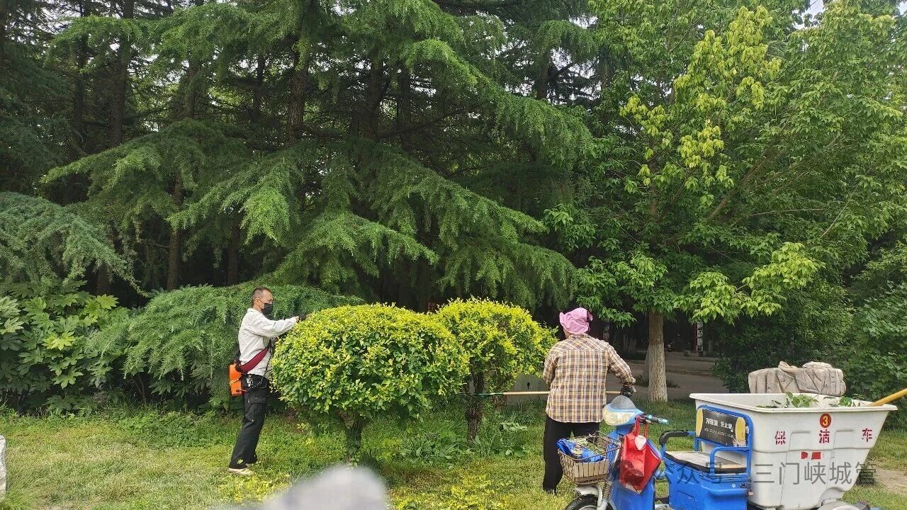 三门峡市园林绿化精细化管理工作周工作简报（7月29日至8月4日）