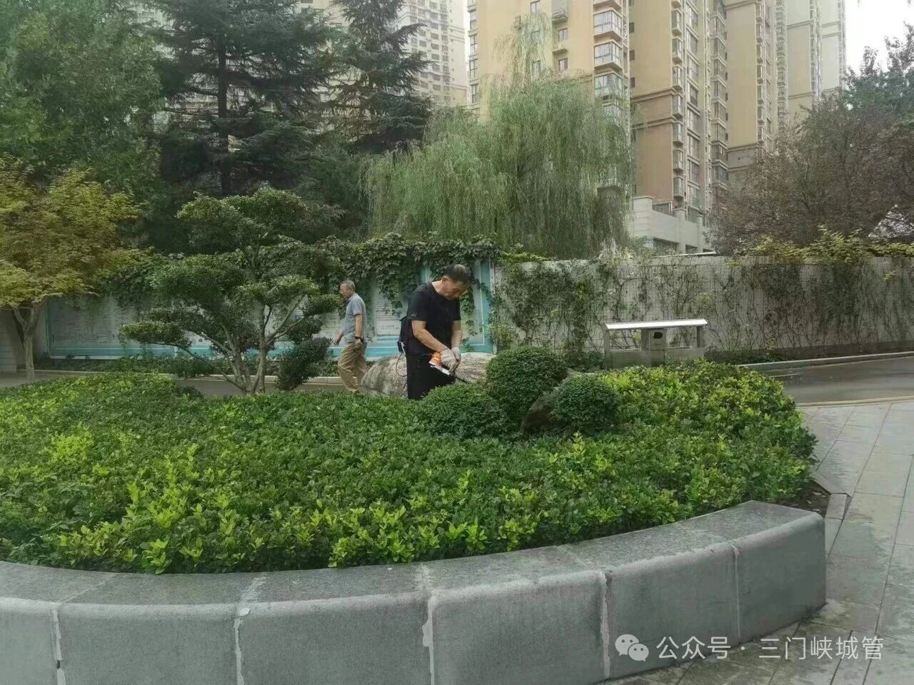 微信图片_2026-10-10_082409_358.jpg