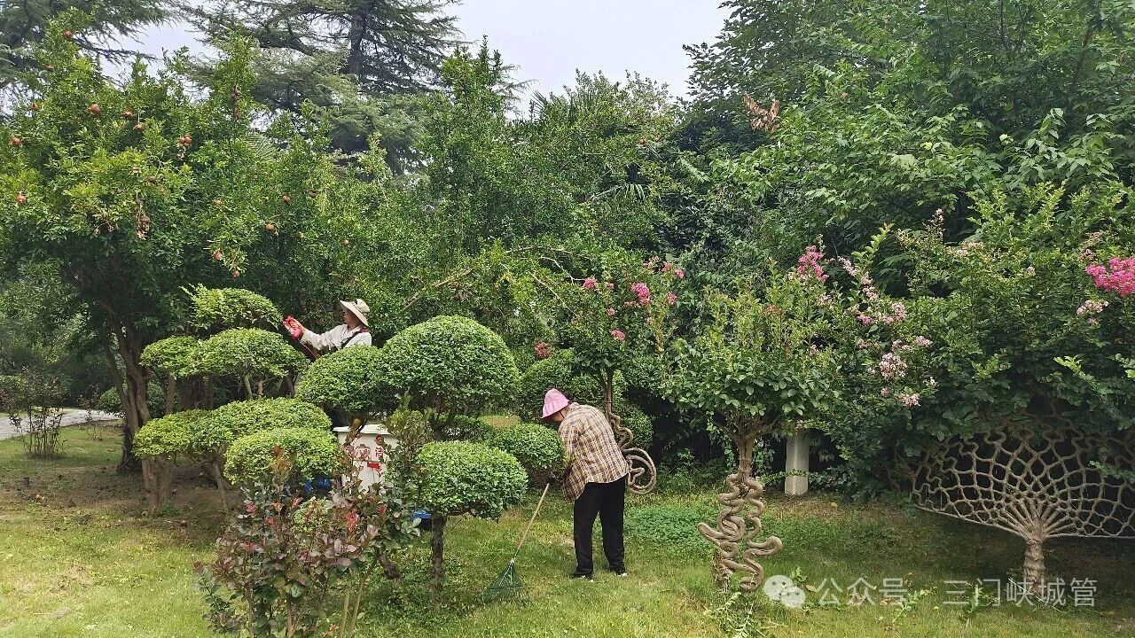 微信图片_2026-09-01_083614_379.jpg