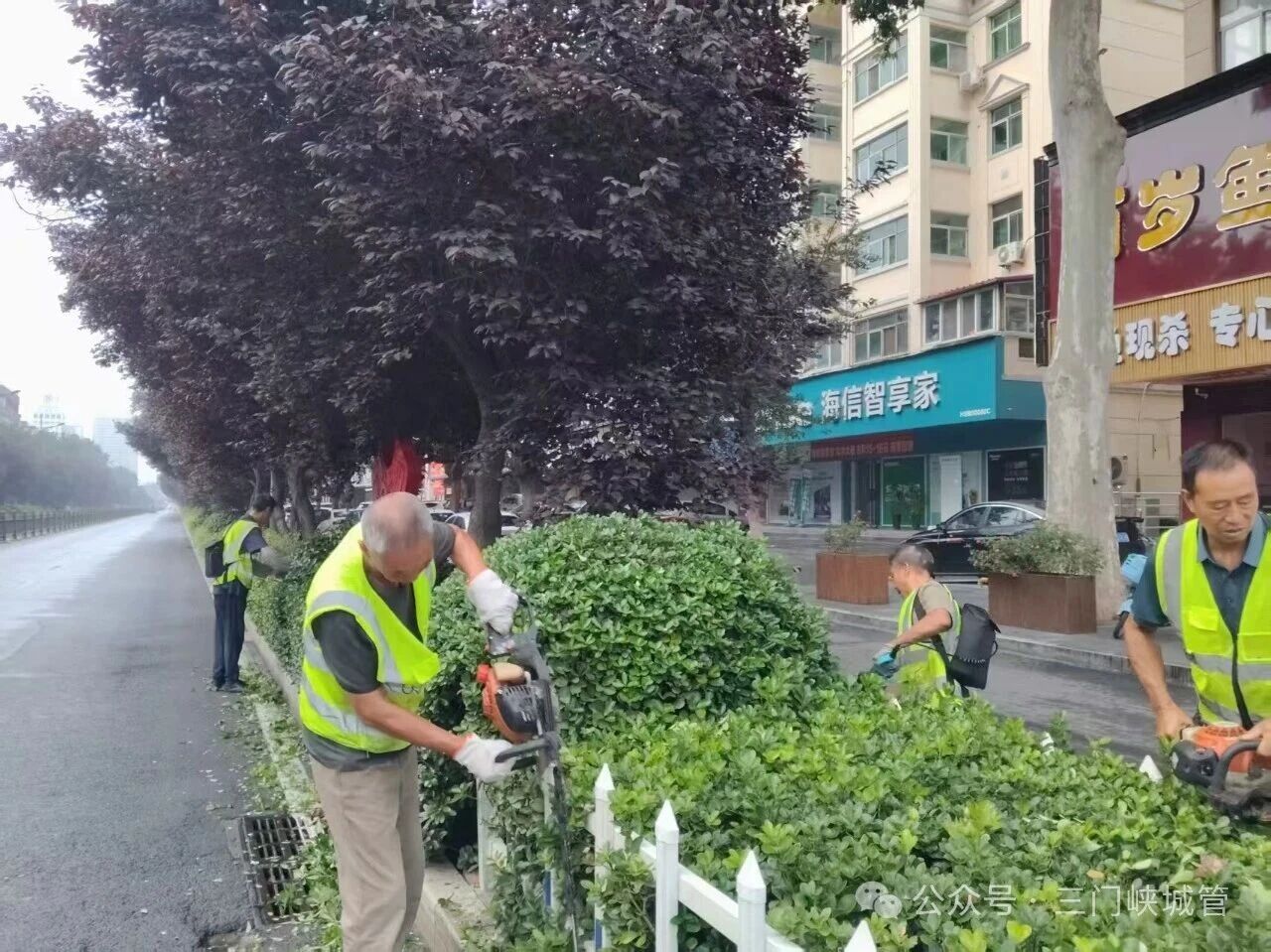 微信图片_2026-09-01_083633_059.jpg