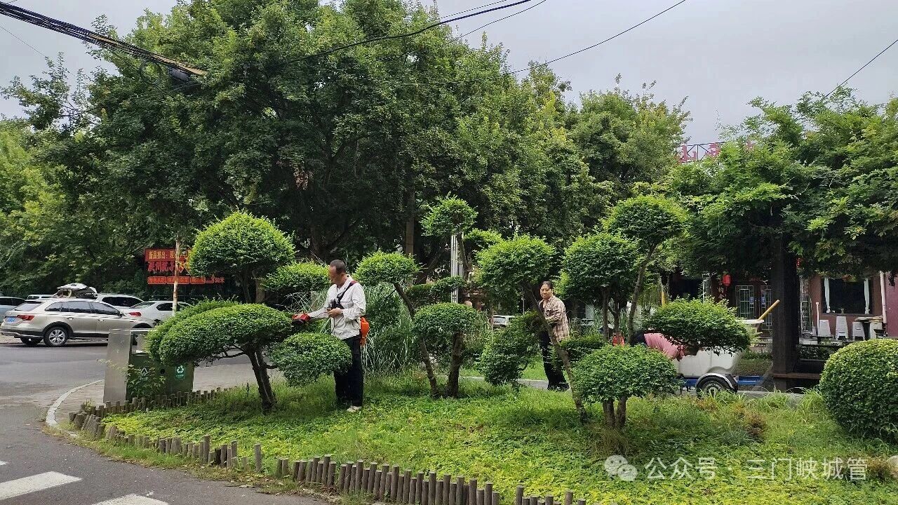 微信图片_2026-09-17_082731_641.jpg