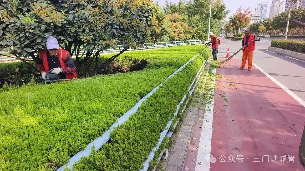 微信图片_2026-10-16_094644_105.jpg 微信图片_2026-10-16_094644_105.jpg