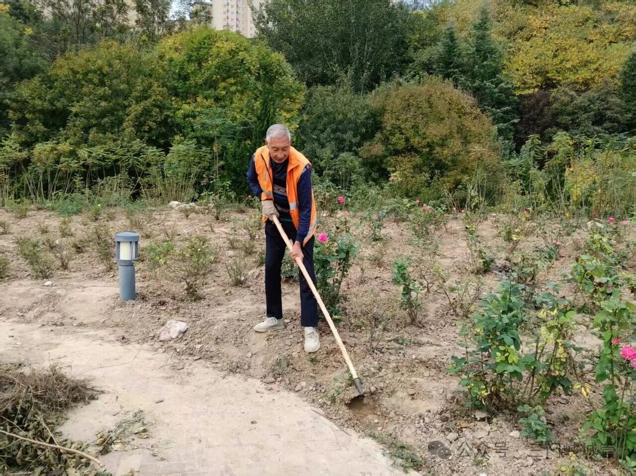 微信图片_2026-10-16_094702_657.jpg 微信图片_2026-10-16_094702_657.jpg